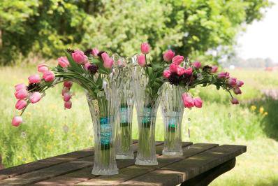 La célèbre tulipe ne figure pourtant pas dans le tiercé gagnant.