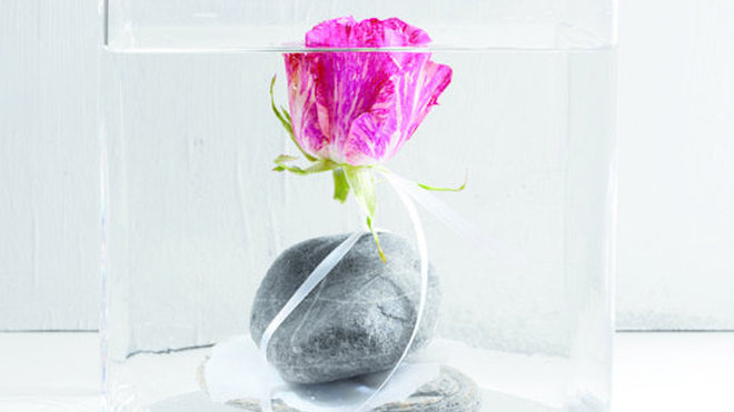 Grande gagnante, la rose remporte 32,6% des suffrages.