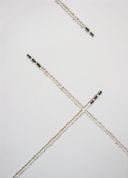 On trace dans le ciel