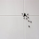 Pousse toi moi aussi je veux voir !