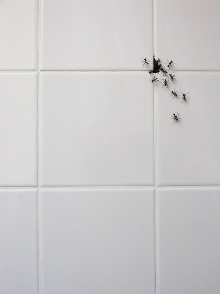 Pousse toi moi aussi je veux voir !