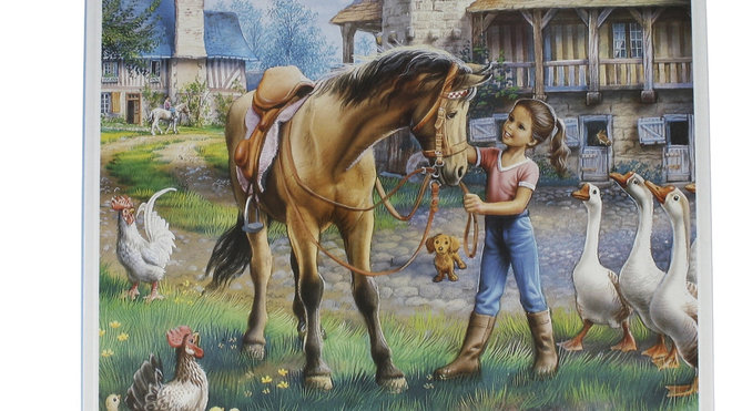 Martine et le cheval boîte de 600 g, 8 €.