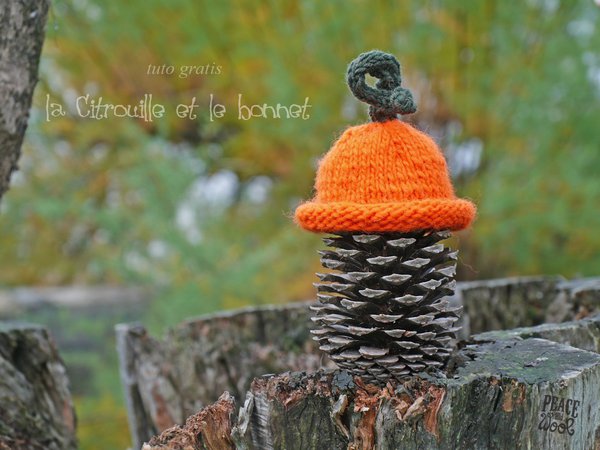 Le tuto gratis de la semaine...un joli bonnet pour fêter Halloween