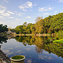 Un petit coin de quiétude paradisiaque.