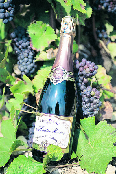 Pas moins de 12 vignerons haut-marnais reçoivent les visiteurs sur le lieu de production de leur champagne.