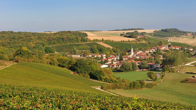 Le vignoble entoure le village d'Argentolles dans la région sur la Côte des Bar.