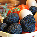 Le précieux champignon se déniche généralement au pied d'un chêne et se dégustera en brouillade ou avec un risotto.