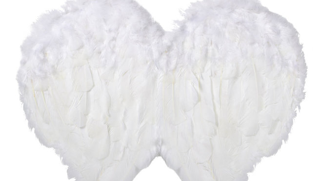 8- Voilà les ailes terminées.