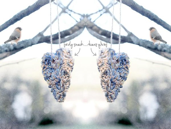 Un cœur de graines  facile à réaliser, à accrocher à une branche.