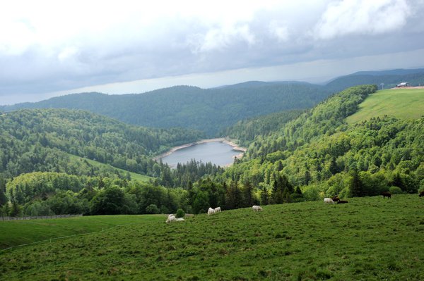 Balade sur la route des crêtes pour admirer la quiétude du massif des Vosges.