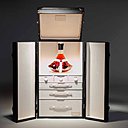 Seulement 24000 euros pour cette somptueuse malle signée par le malletier Trunk et remplie du non moins sublime cognac Extra Prince Hubert de Champagne.