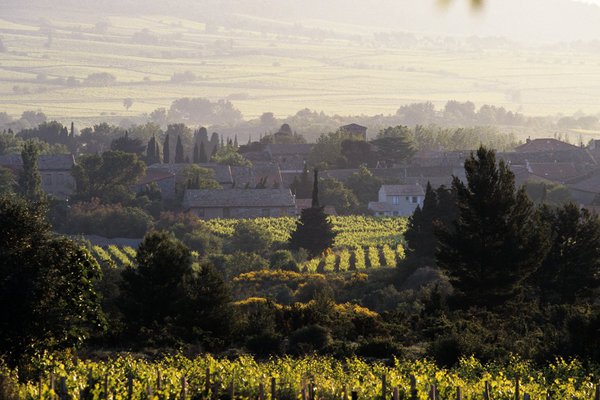 Le climat des Corbières reste sec, chaud et ensoleillé.