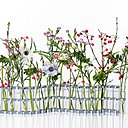 Le vase emblématique de la marque. Vase Avril. Tsé & Tsé Associées.