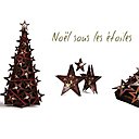 Sapin, étoile de Noël et ses mendiants de La Maison du Chocolat.