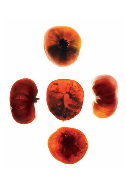 La visite du Conservatoire de la Tomate permet de comprendre et apprendre les enjeux de la préservation de la biodiversité.