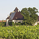 L’ensemble de la production est vinifiée, élevée et mise en bouteille au château. Le vieillissement se fait en cave, ouvert à la visite sur réservation.