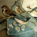 Des oiseaux prêts à se poser sur un cardigan.