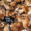 Les cèpes offrent un grand éventail d’apprêts. On peut les farcir, les servir en garniture ou les incorporer dans une farce, une omelette, une tarte ou une terrine de viande.