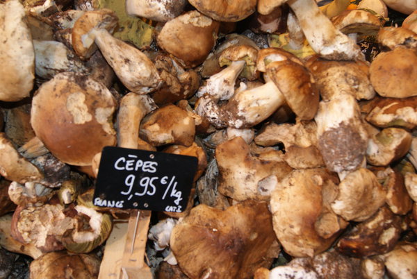 Les cèpes offrent un grand éventail d’apprêts. On peut les farcir, les servir en garniture ou les incorporer dans une farce, une omelette, une tarte ou une terrine de viande.