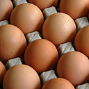 Décrypter les mentions inscrites sur les œufs: un casse tête pour celui qui n'a pas la clé des codes!