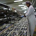 Comme dans les biscuiteries, chocolateries, confiseries, la main d’œuvre est essentiellement féminine au XIXe siècle dans les petites ou grandes entreprises, que ce soit au niveau de la fabrication de la boîte pour le sertissage, comme au niveau de la conserverie où les denrées sont préparées et mises en boîte, serrées comme des sardines.