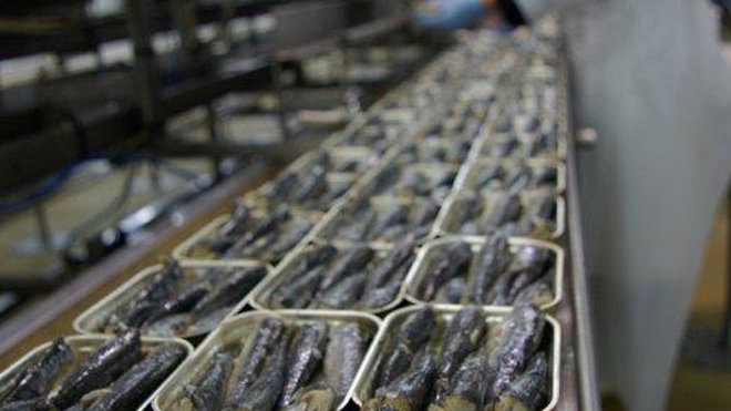 Comme dans les biscuiteries, chocolateries, confiseries, la main d’œuvre est essentiellement féminine au XIXe siècle dans les petites ou grandes entreprises, que ce soit au niveau de la fabrication de la boîte pour le sertissage, comme au niveau de la conserverie où les denrées sont préparées et mises en boîte, serrées comme des sardines. Comme dans les biscuiteries, chocolateries, confiseries, la main d’œuvre est essentiellement féminine au XIXe siècle dans les petites ou grandes entreprises, que ce soit au niveau de la fabrication de la boîte pour le sertissage, comme au niveau de la conserverie où les denrées sont préparées et mises en boîte, serrées comme des sardines.