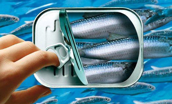 Les conserves de sardines à l’huile sont le mode de commercialisation le plus pratique, des sardines conditionnées en boîtes métalliques. La mise en boîte se fait avec des sardines étêtées, éviscérées et cuites, l’espace libre étant rempli d’huile végétale, parfois enrichie de condiments.