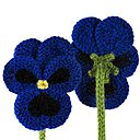 Les Pensées fabriquées à partir de restes de laine.