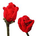 Les Roses plus vraies que nature.