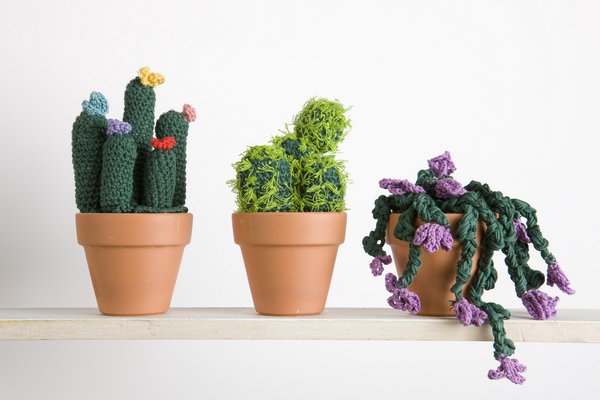 Cactus au crochet, hyper-réalistes.