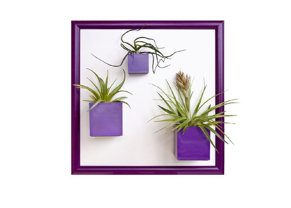 Avec ces mini-pots de fleurs en céramique, adoptez la « green attitude ». Design et dans l’air du temps, ils s’accrochent aux murs avec élégance, créant un jardin vertical ultra original. De 3,50 € à 11 €, au BHV.