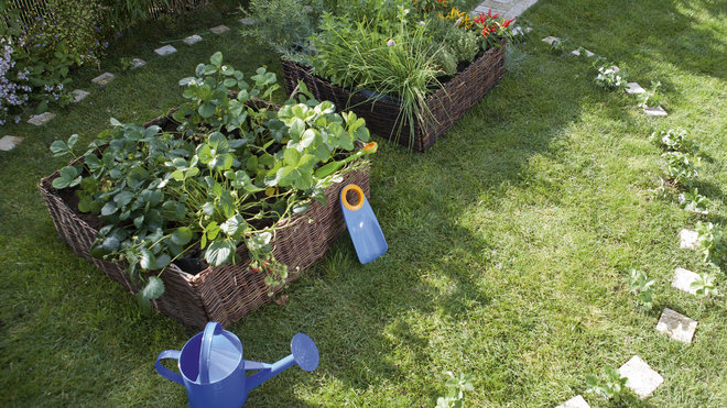 Leroy Merlin vous propose un carré de plantation façon jardin de curé pour laisser pousser et s’épanouir toutes sortes de plantes. 39,90.