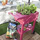 Petit jardin en ville pour personnes cultivées ! Ce carré de potager surélevé est une solution idéale pour avoir à portée de mains quelques aromates, fruits ou légumes, sur une surface réduite ! Pratique, il permet la culture hors sol nécessitant peu d’entretien et sans se baisser. 59,95 €, Castorama.