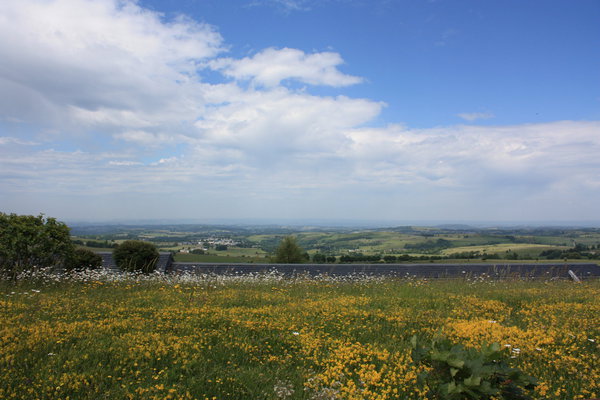 La nature à perte de vue.