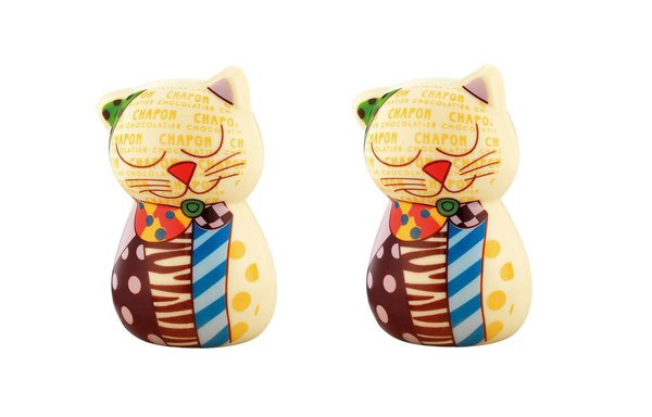 Petits chatons chez Chapon !