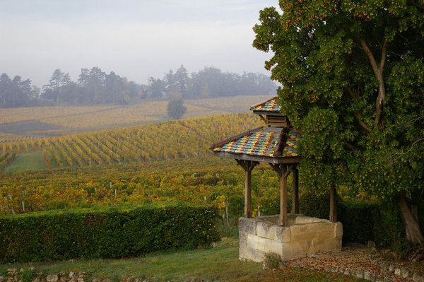 Balade dans les vignes du Clos Saint-Martin.