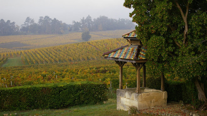 Balade dans les vignes du Clos Saint-Martin. Balade dans les vignes du Clos Saint-Martin.