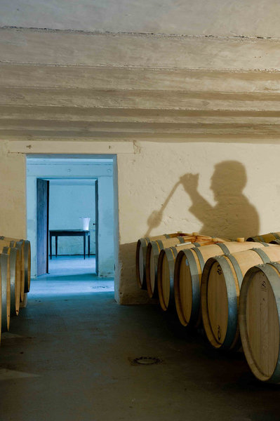 Le chais du Clos Saint-Martin.