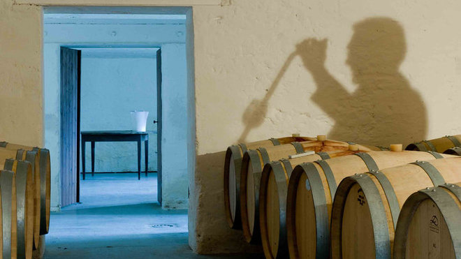 Le chais du Clos Saint-Martin. Le chais du Clos Saint-Martin.