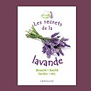 Insomnies, poux, fatigue...faites confiance à la lavande.