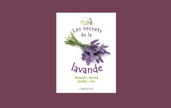 Insomnies, poux, fatigue...faites confiance à la lavande.