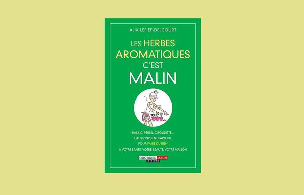 En effet malignes, les Herbes aromatiques agrémentent les salades, parfument les tisanes et soignent quelques petits bobos.
