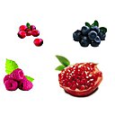 Cranberry, framboises, myrtilles et grenades... pour des cocktails savoureux et antioxydants.