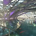 Fraîchement inauguré, le centre Inuu bassins offre de magnifiques bassins d’eau thermale chaude avec jacuzzis, jets, bulles… Fraîchement inauguré, le centre Inuu bassins offre de magnifiques bassins d’eau thermale chaude avec jacuzzis, jets, bulles…