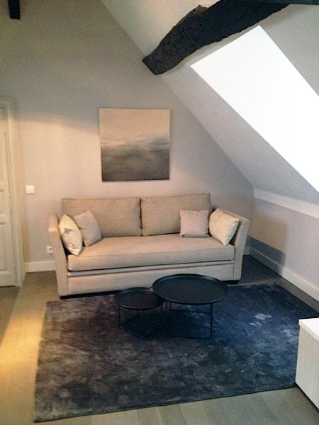 Le salon meublé avec un canapé convertible offre la possibilité d’un couchage d’appoint.