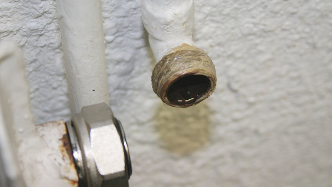 Etape 17 : Badigeonnez une deuxième couche de pâte d’étanchéité sur la filasse. Le tube est prêt à recevoir le corps de robinet. Etape 17 : Badigeonnez une deuxième couche de pâte d’étanchéité sur la filasse. Le tube est prêt à recevoir le corps de robinet.