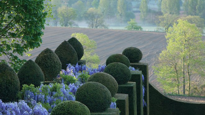 Les deux parties du jardin sont séparées par une grande arcade de glycines appuyée sur des colonnes d’ifs.