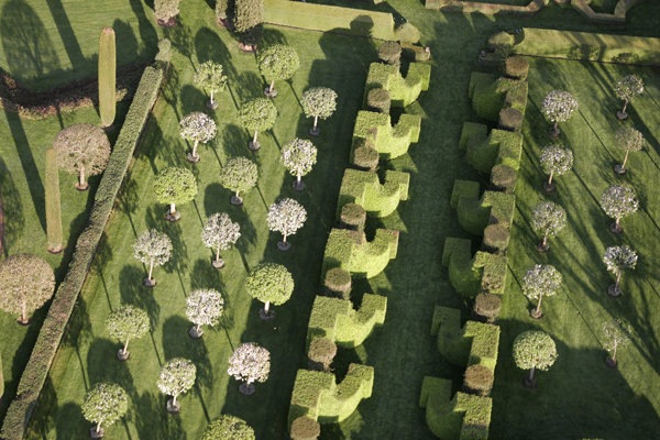 Créée en 1996, l’allée des charmes dessine une artère de 100 mètres. Véritable colonne vertébrale du jardin, elle le traverse, d’est en ouest, selon une ligne parallèle au manoir. 20 paires de charme sont enroulées autour d’un cylindre d’if.