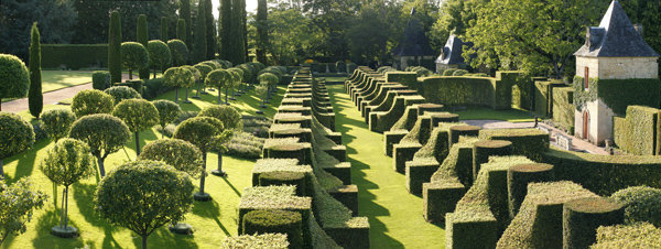 Le verger est composé de trois rangées de pommiers à la cime taillée en boule. La base est habillée de santolines, pour des raisons esthétiques et pratiques, car elles protègent les arbres de la tondeuse. Et toutes les allées sont en pelouse.