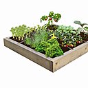 Moncarrepotager.com est un concept innovant, qui s’inscrit parfaitement dans la tendance « made myself », et un besoin de savoir d’où proviennent les aliments de nos assiettes.